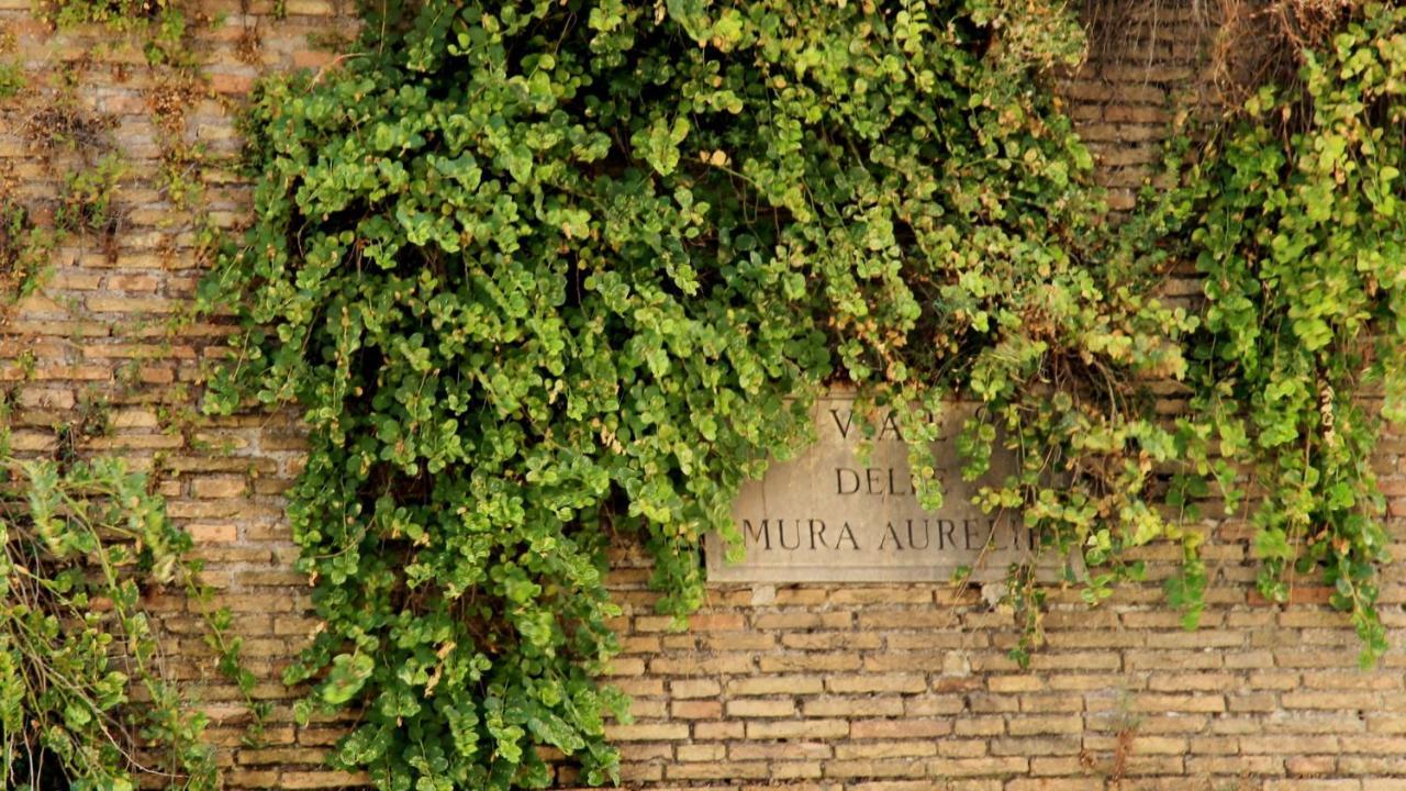 Vista San Pietro Apartment Roma Exterior foto